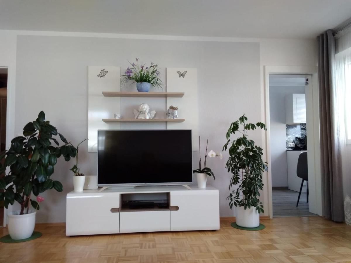 Apartment Maja
